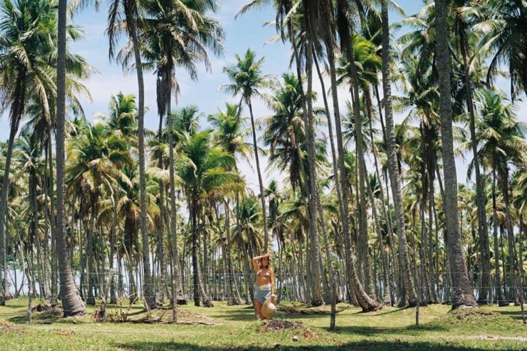 FB_IMG_1550162331138