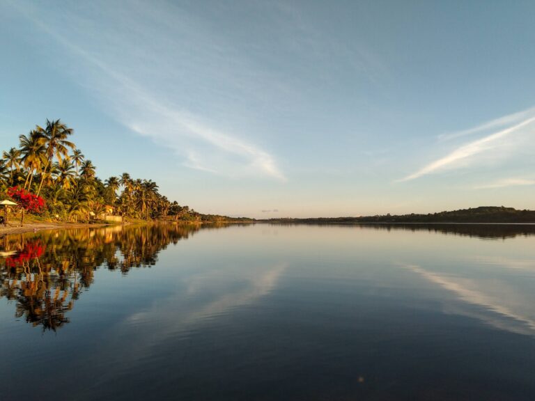 IMG_20210611_165145_4 (1)